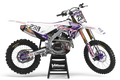 Honda - Troy Purple Graphics Kit